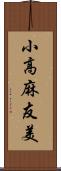 小高麻友美 Scroll