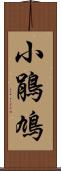 小鵑鳩 Scroll