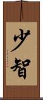少智 Scroll