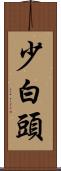 少白頭 Scroll