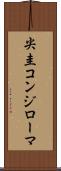 尖圭コンジローマ Scroll
