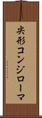 尖形コンジローマ Scroll