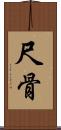 尺骨 Scroll