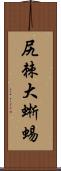 尻棘大蜥蜴 Scroll