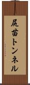 尻苗トンネル Scroll