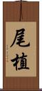 尾植 Scroll