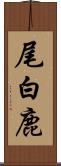 尾白鹿 Scroll