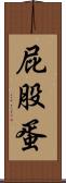 屁股蛋 Scroll
