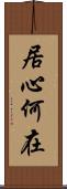 居心何在 Scroll