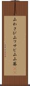 山わさび Scroll