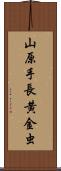 山原手長黄金虫 Scroll