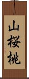 山桜桃 Scroll