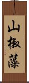 山椒藻 Scroll