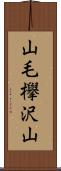 山毛欅沢山 Scroll