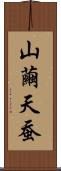 山繭 Scroll