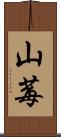 山莓 Scroll