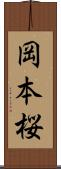 岡本桜 Scroll