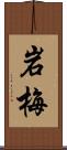 岩梅 Scroll