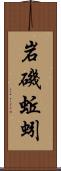 岩磯蚯蚓 Scroll