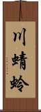 川蜻蛉 Scroll