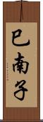 巳南子 Scroll