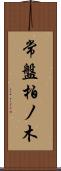 常盤柏ノ木 Scroll
