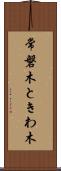 常磐木 Scroll