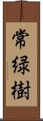 常緑樹 Scroll