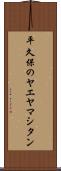 平久保のヤエヤマシタン Scroll