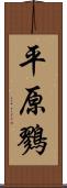 平原鷚 Scroll