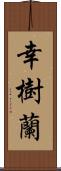 幸樹蘭 Scroll