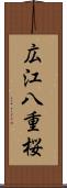 広江八重桜 Scroll