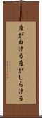座が白ける Scroll