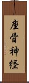 座骨神経 Scroll