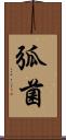 弧菌 Scroll