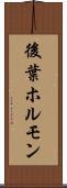 後葉ホルモン Scroll