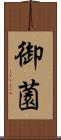 御薗 Scroll