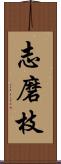 志磨枝 Scroll