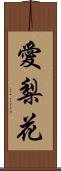 愛梨花 Scroll