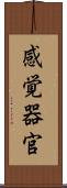 感覚器官 Scroll