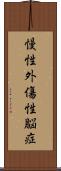 慢性外傷性脳症 Scroll