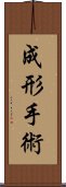 成形手術 Scroll