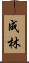成林 Scroll