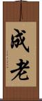 成老 Scroll