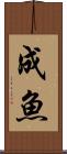 成魚 Scroll
