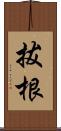 拔根 Scroll