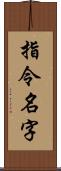 指令名字 Scroll