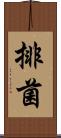 排菌 Scroll