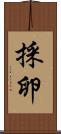 採卵 Scroll