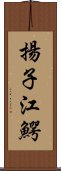 揚子江鰐 Scroll